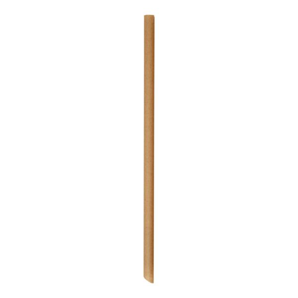 LGP JUMBO (12X210MM) SUGAR CANE STRAW (150)