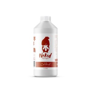 1L NAKED D/SAUCE N/S SALTY CARAMEL (1)