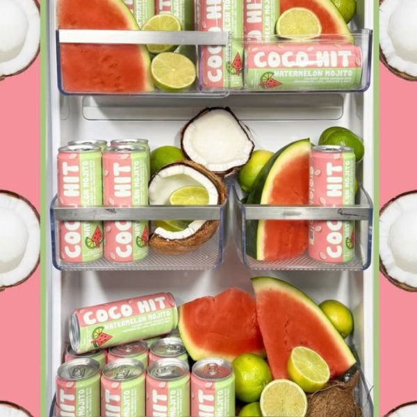 320ML COCO HIT WATERMELON MOJITO (12) - Image 4