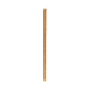 Little Green Panda Regular Sugar Cane Straw (6x210mm) - 500 pack