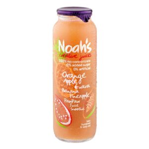 Noah's Orange Smoothie 260ml – 12 Pack