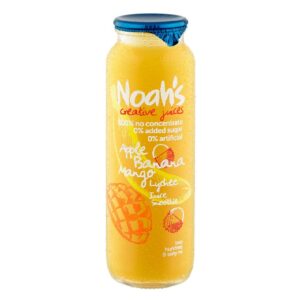Noah's Yellow Smoothie 260ml – 12 Pack