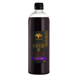 Alchemy Ultra Violet Ube Concentrate Syrup - 750ml - 1 Unit