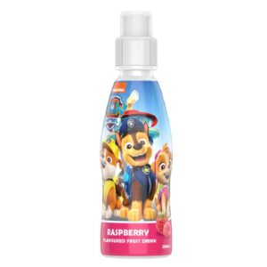 Fruity Burst Paw Patrol Raspberry Juice 250ml – 24 Pack