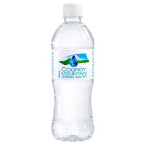 Cooroy Mountain Spring Water 600ml – 24 Pack